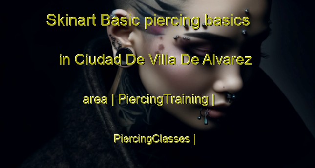 Skinart Basic piercing basics in Ciudad De Villa De Alvarez area | PiercingTraining | PiercingClasses | SkinartTraining-Mexico